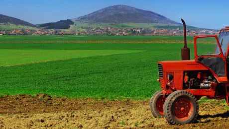 Komise aktualizuje obchodní normy pro zemědělsko-potravinářské produkty