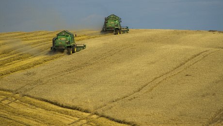 Obchod se zemědělsko-potravinářskými produkty ukazuje dopad brexitu