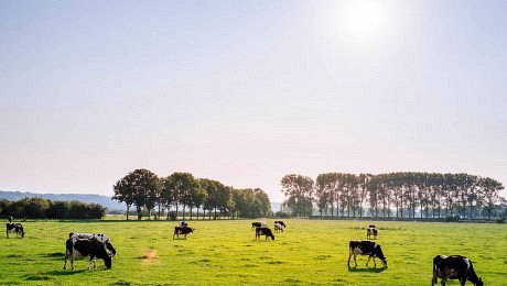 Zemědělství napomáhá zachycovat uhlík