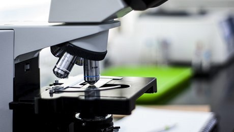 Evropa míří na špičku světové vědy: Nová strategie pro life sciences do roku 2030